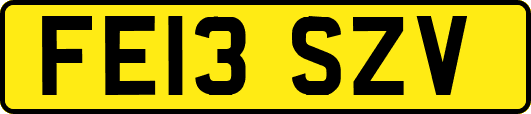FE13SZV