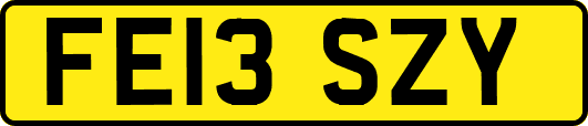 FE13SZY