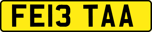 FE13TAA
