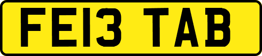 FE13TAB