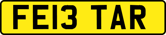 FE13TAR