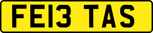 FE13TAS