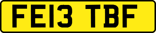 FE13TBF