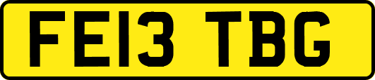 FE13TBG