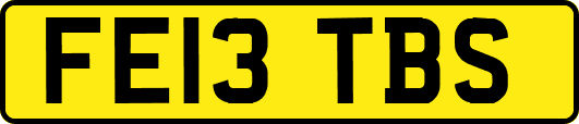 FE13TBS