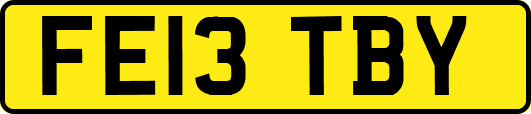 FE13TBY