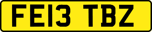 FE13TBZ