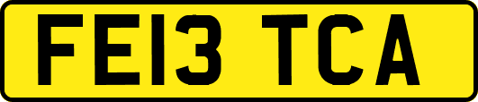 FE13TCA