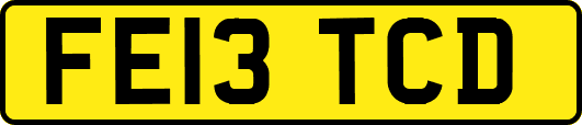 FE13TCD