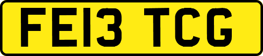 FE13TCG