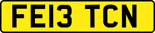 FE13TCN