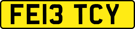 FE13TCY