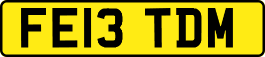 FE13TDM
