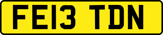 FE13TDN
