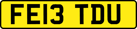 FE13TDU