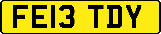 FE13TDY