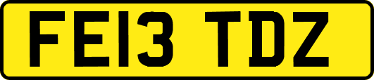FE13TDZ