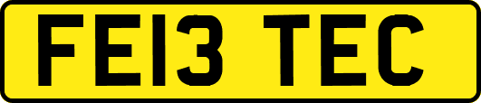 FE13TEC