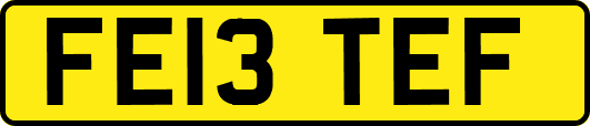 FE13TEF