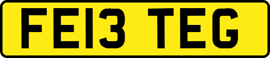 FE13TEG