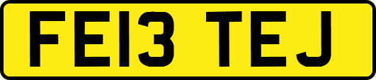 FE13TEJ
