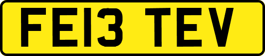 FE13TEV