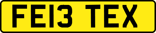 FE13TEX