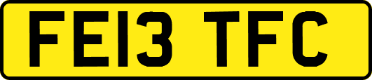 FE13TFC