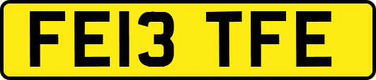 FE13TFE