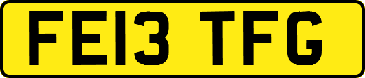 FE13TFG