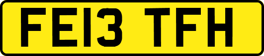 FE13TFH