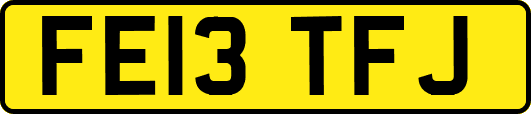 FE13TFJ