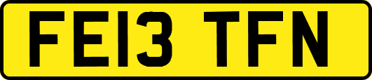 FE13TFN