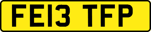 FE13TFP