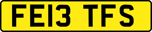 FE13TFS