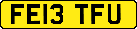 FE13TFU