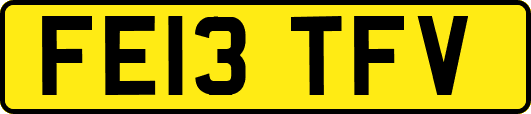 FE13TFV