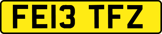FE13TFZ