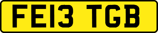 FE13TGB