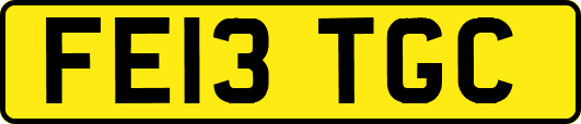 FE13TGC