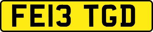 FE13TGD