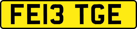 FE13TGE