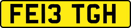 FE13TGH