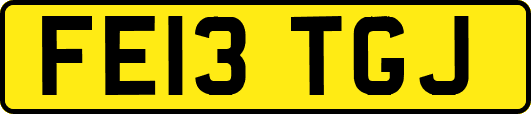 FE13TGJ