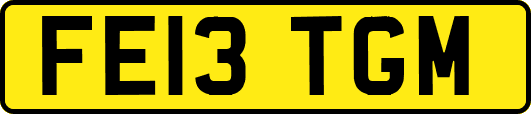 FE13TGM