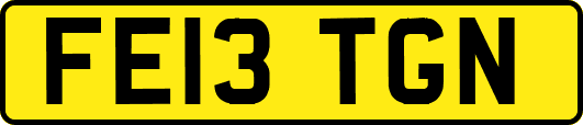 FE13TGN