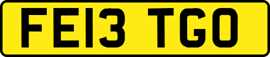 FE13TGO