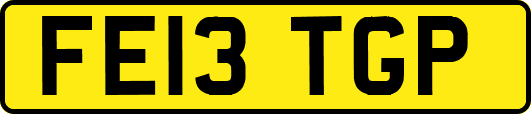 FE13TGP