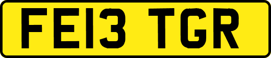 FE13TGR