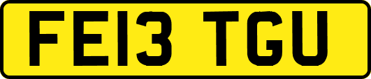 FE13TGU